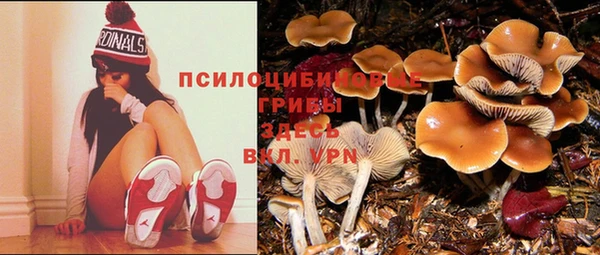 apvp Белоозёрский