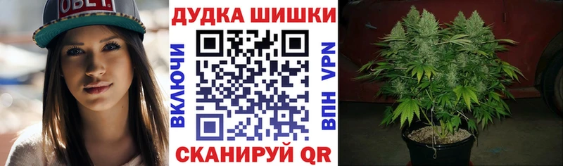 Шишки марихуана план  Купить где  Переславль-Залесский 